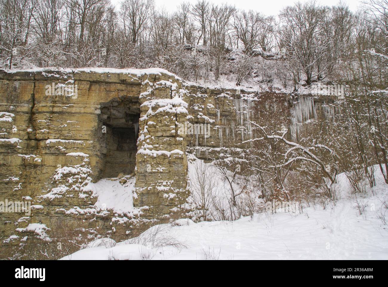 Shell limestone in Stone Quarry, Schwaebisch Hall, Baden-Wuerttemberg ...