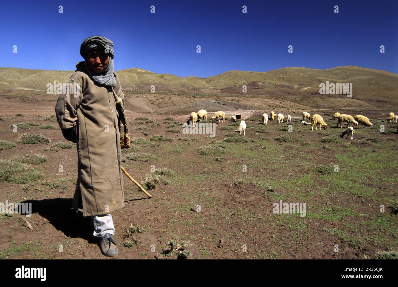 Pastor Bereber.Meseta de los lagos. Imilchil.Cordillera del Atlas. Marruecos. Stock Photo