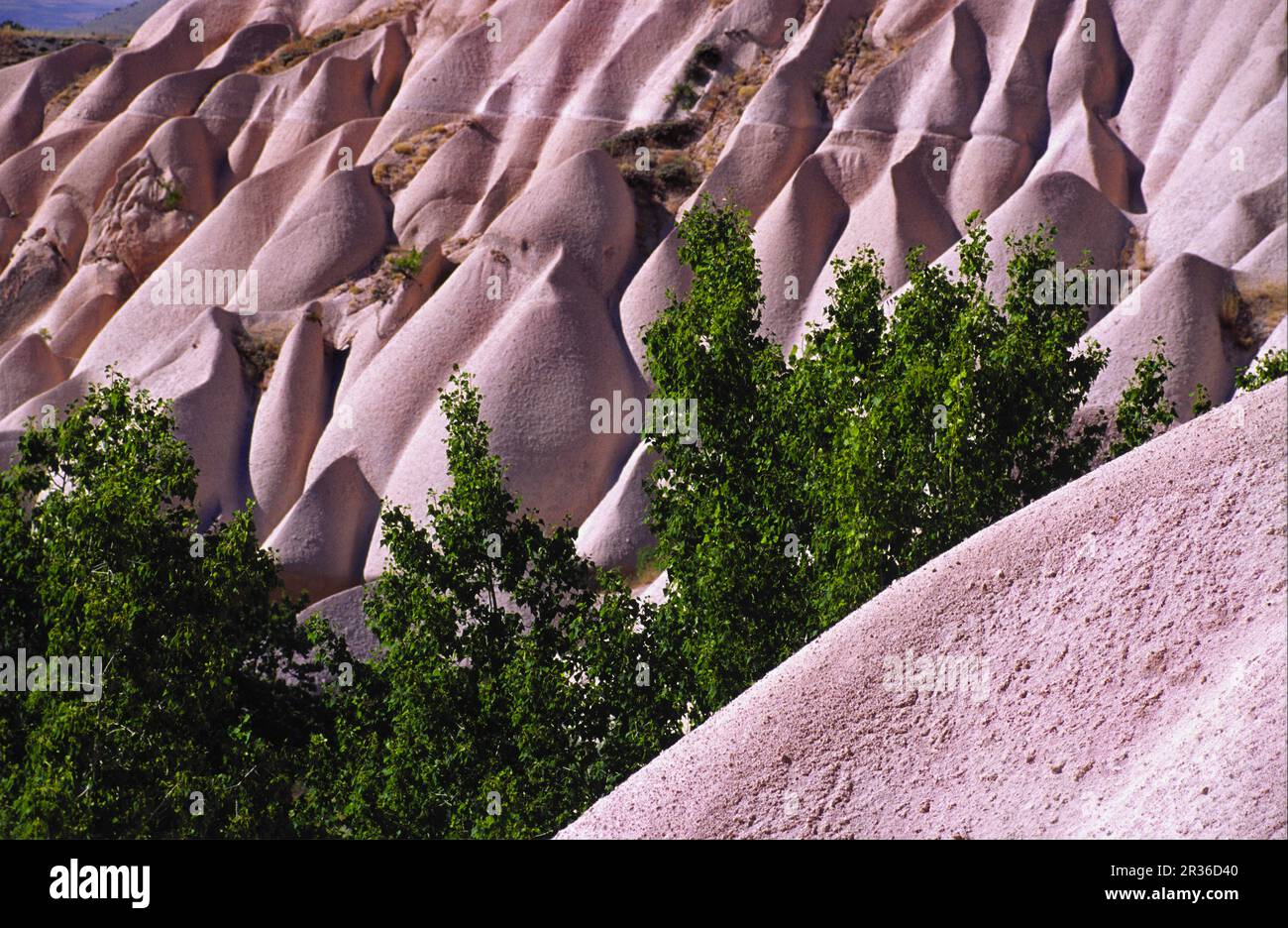 Ladera de toba volcanica.Uçhisar.Capadocia.Anatolia.Turquia. Stock Photo