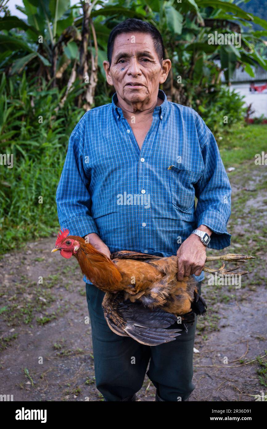 Hombre con una gallina, Lancetillo, La Parroquia, zona Reyna, Quiche, Guatemala, Central America. Stock Photo