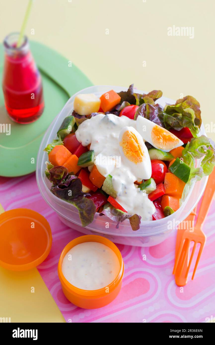 Vegetable salad with yoghurt sauce and hardboiled egg Stock Photo Alamy