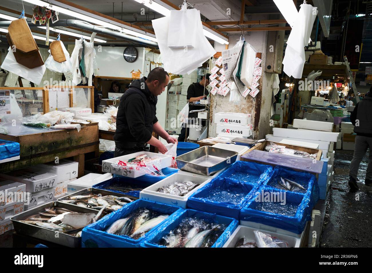 Tsukiji fish market in Tokyo, Japan Stock Photo Alamy