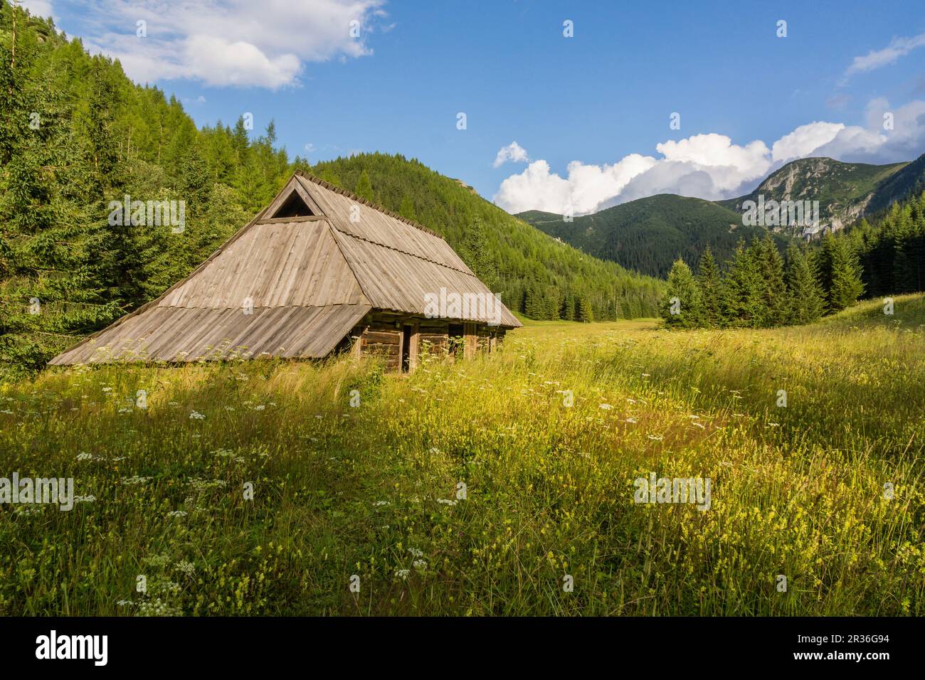 valle Jaworzynka, parque nacional Tatras, Zakopane, voivodato de la Pequeña Polonia, Cárpatos, Polonia, europe. Stock Photo