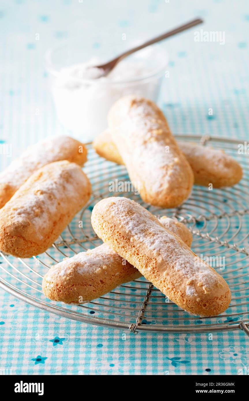 Sponge fingers with icing sugar on a wire rack Stock Photo Alamy