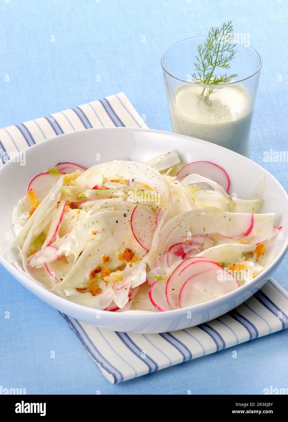 Fennel and radish salad Stock Photo