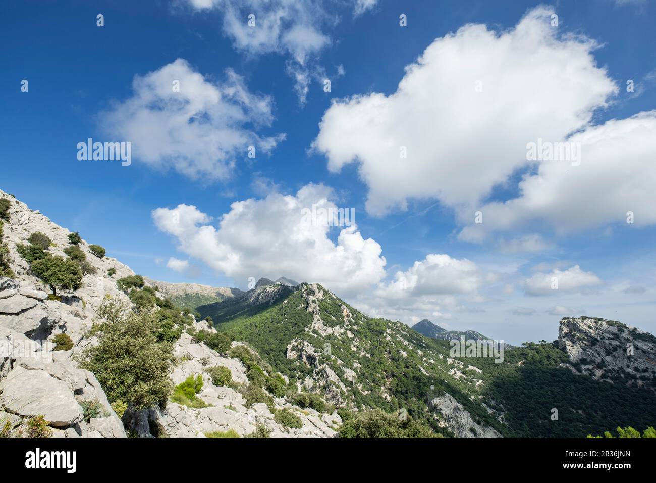Puig de Ses Bassetes, 1212 metros, Escorca, Paraje natural de la Serra de Tramuntana, Mallorca, balearic islands, Spain. Stock Photo