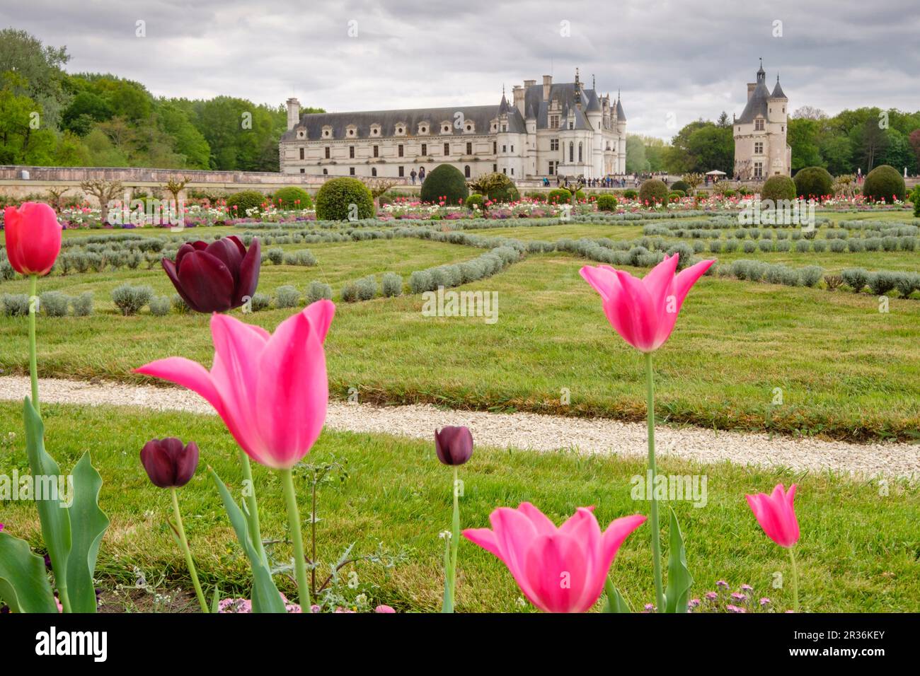 Garden of Diana de Poitiers, Château de Chenonceau, 16th century, Chenonceaux, Indre-et-Loire department, France, Western Europe. Stock Photo
