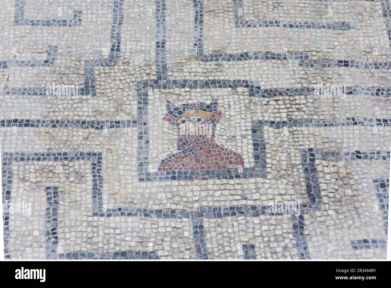 mosaico con el busto policromado de minotauro,museo monografico de Conimbriga, ciudad del Conventus Scallabitanus, provincia romana de Lusitania, cerca de Condeixa-a-Nova, distrito de Coimbra, Portugal, europa. Stock Photo