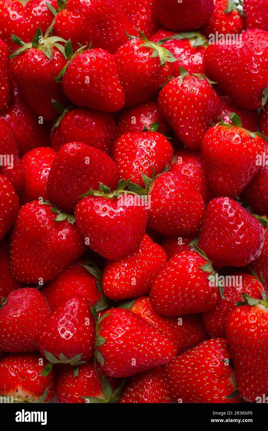 Strawberries full frame hi-res stock photography and images - Alamy