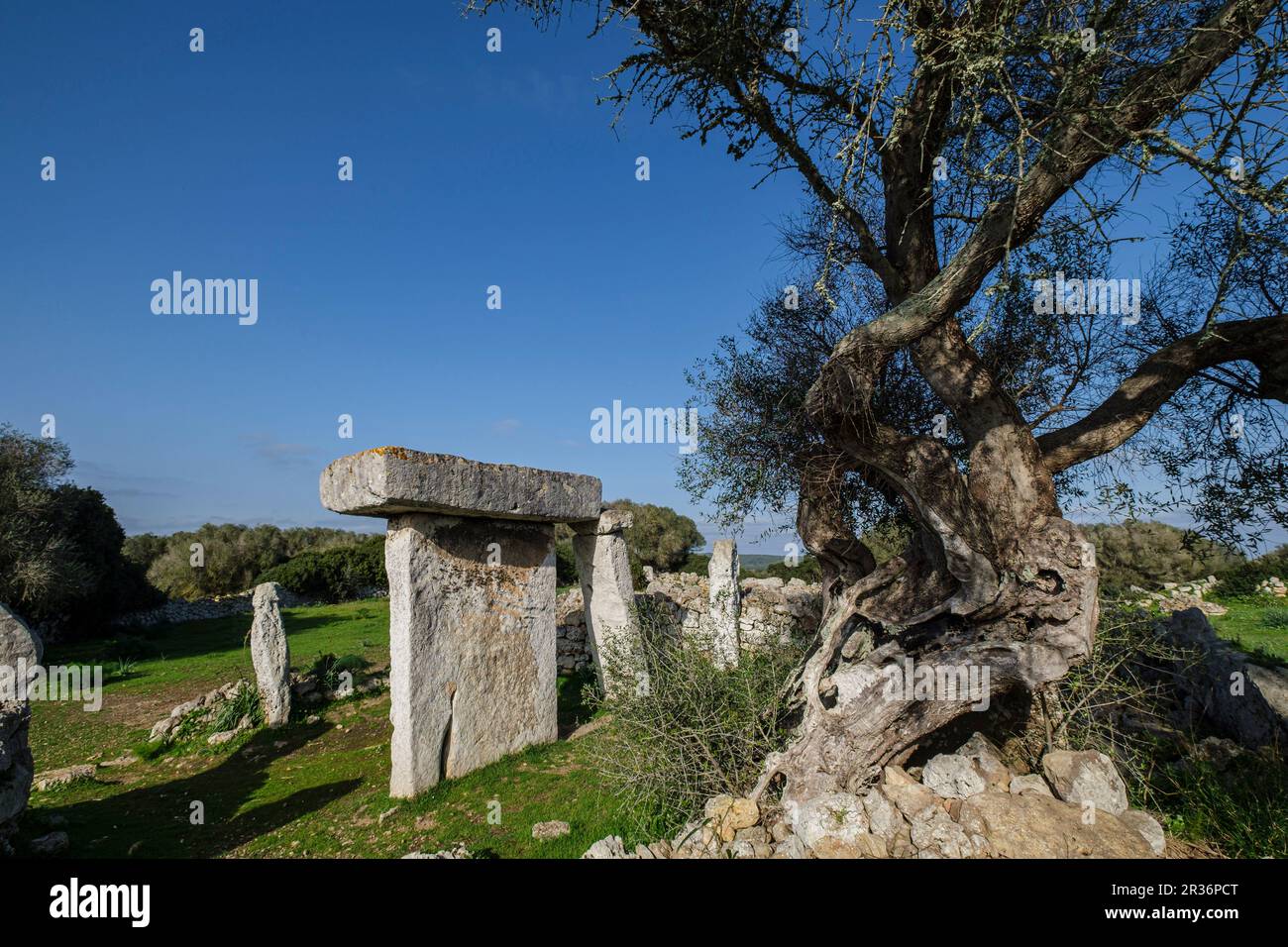 Talatí de Dalt prehistoric site, Maó, Menorca, Balearic Islands, Spain. Stock Photo