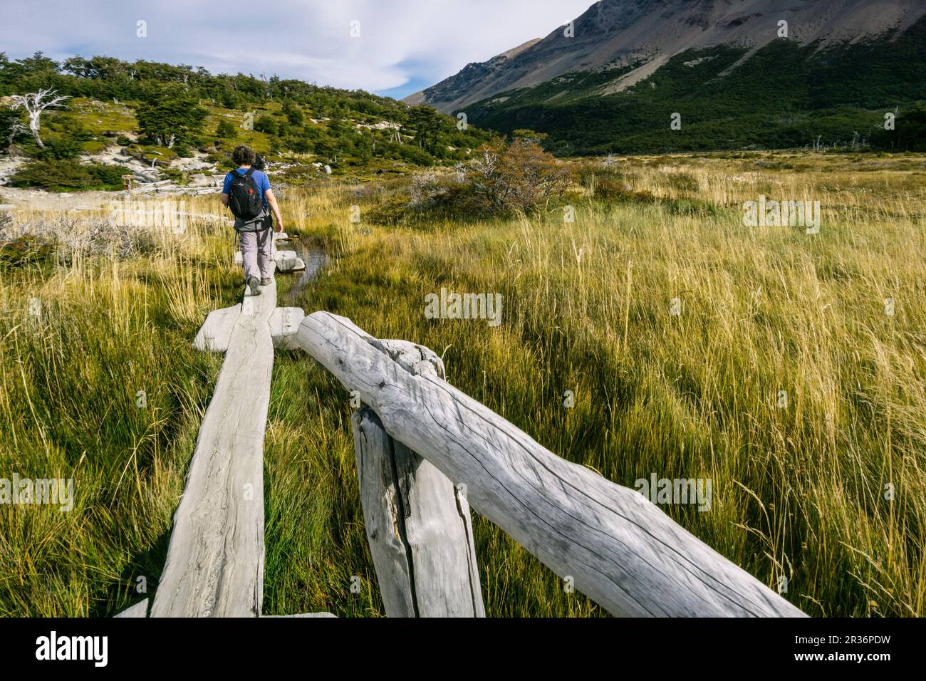 sendero hacia el campamento Poincenot, El Chalten, parque nacional Los Glaciares, republica Argentina,Patagonia, cono sur, South America. Stock Photo