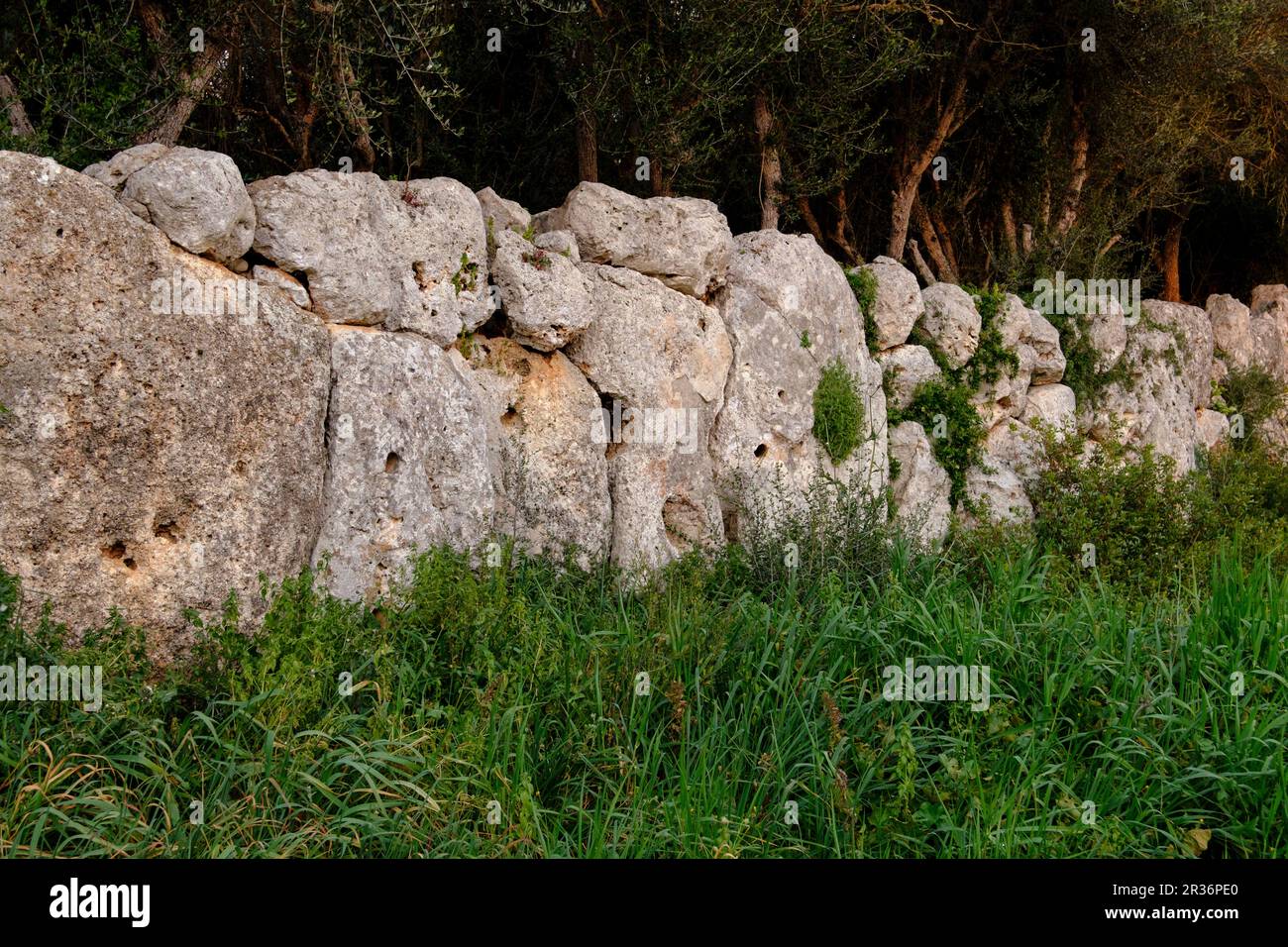 muralla talayotica, yacimiento de es Rossells, Cas Concos , municipio de Felanitx, Mallorca, balearic islands, Spain. Stock Photo