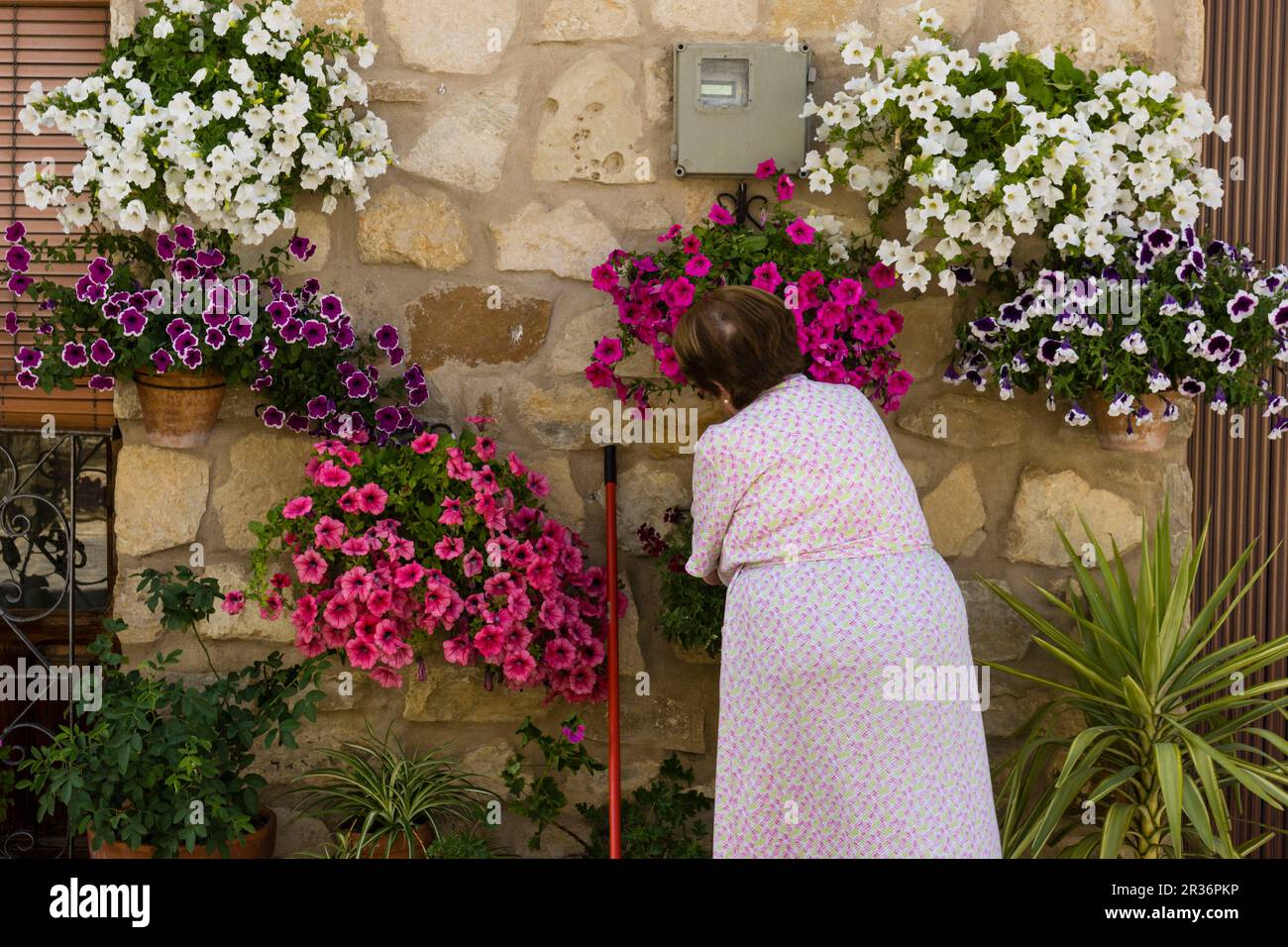 macetas de flores en la calle, Iznatoraf, Loma de Ubeda, provincia de Jaén  en la comarca de las Villas, spain, europe Stock Photo - Alamy