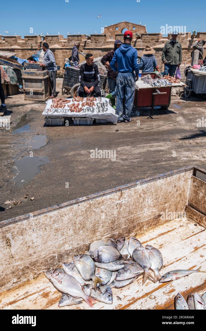 fresh fish market, fishing port, Essaouira, morocco, africa Stock Photo