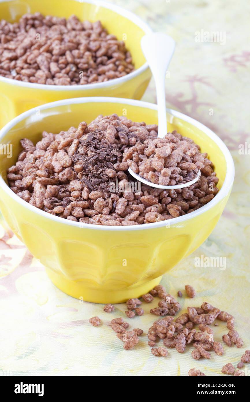 Chocolateflavoured puffed rice cereal with chocolate flakes Stock
