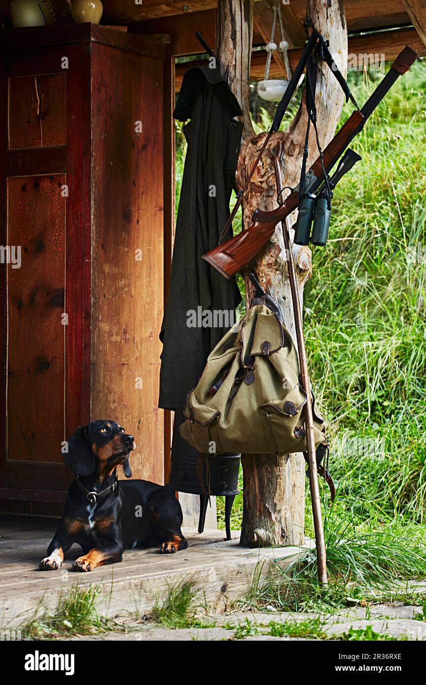 A hound, backpack, gun and pair of binoculars in front of a hunting lodge Stock Photo