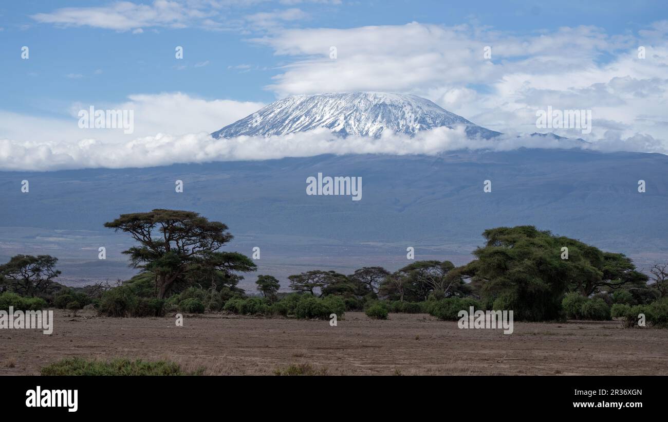 Snow covered Mt. Kilimanjaro as seen from Amboseli National Park, Kenya