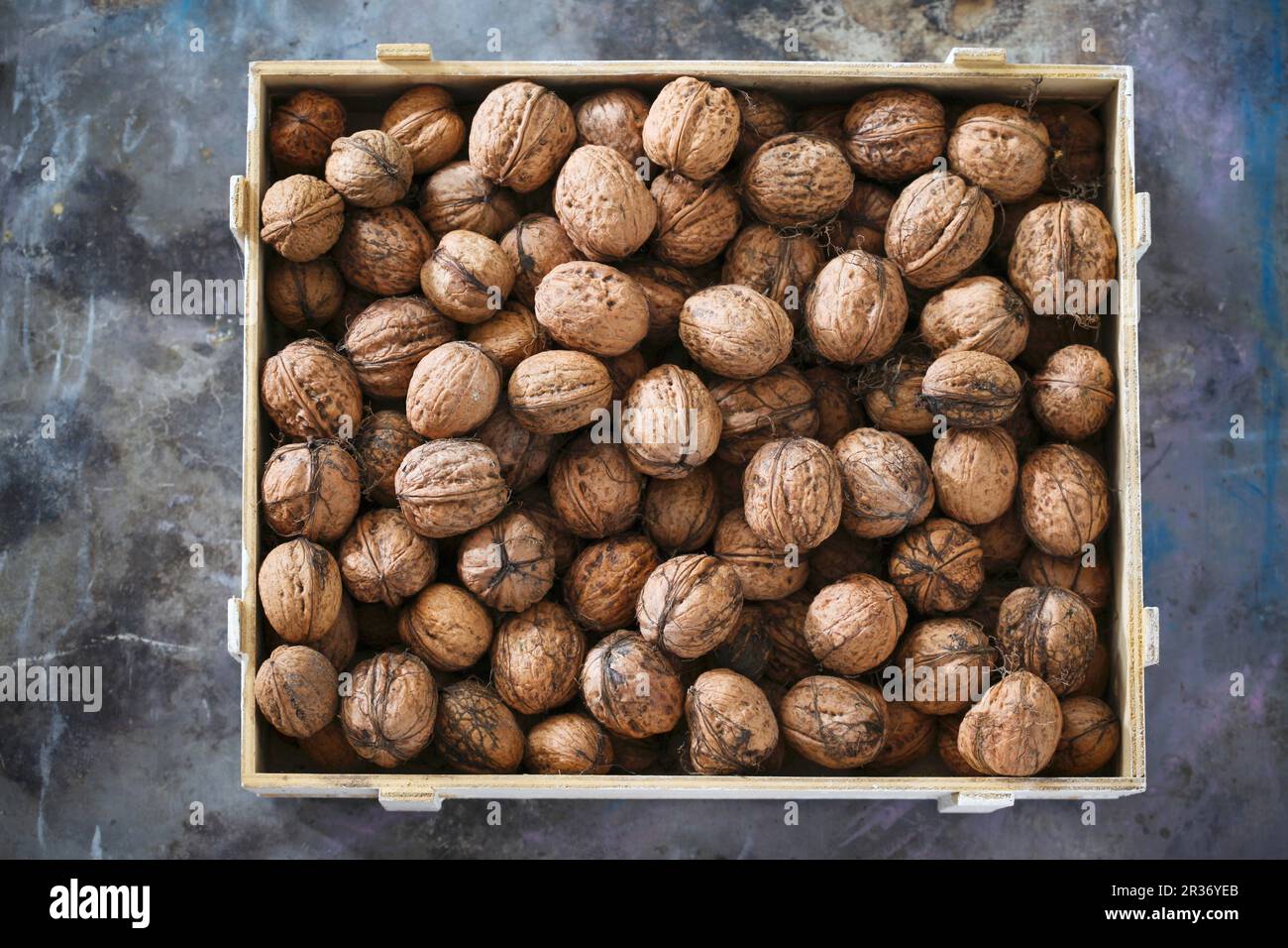 Italian walnuts in a crate Stock Photo Alamy