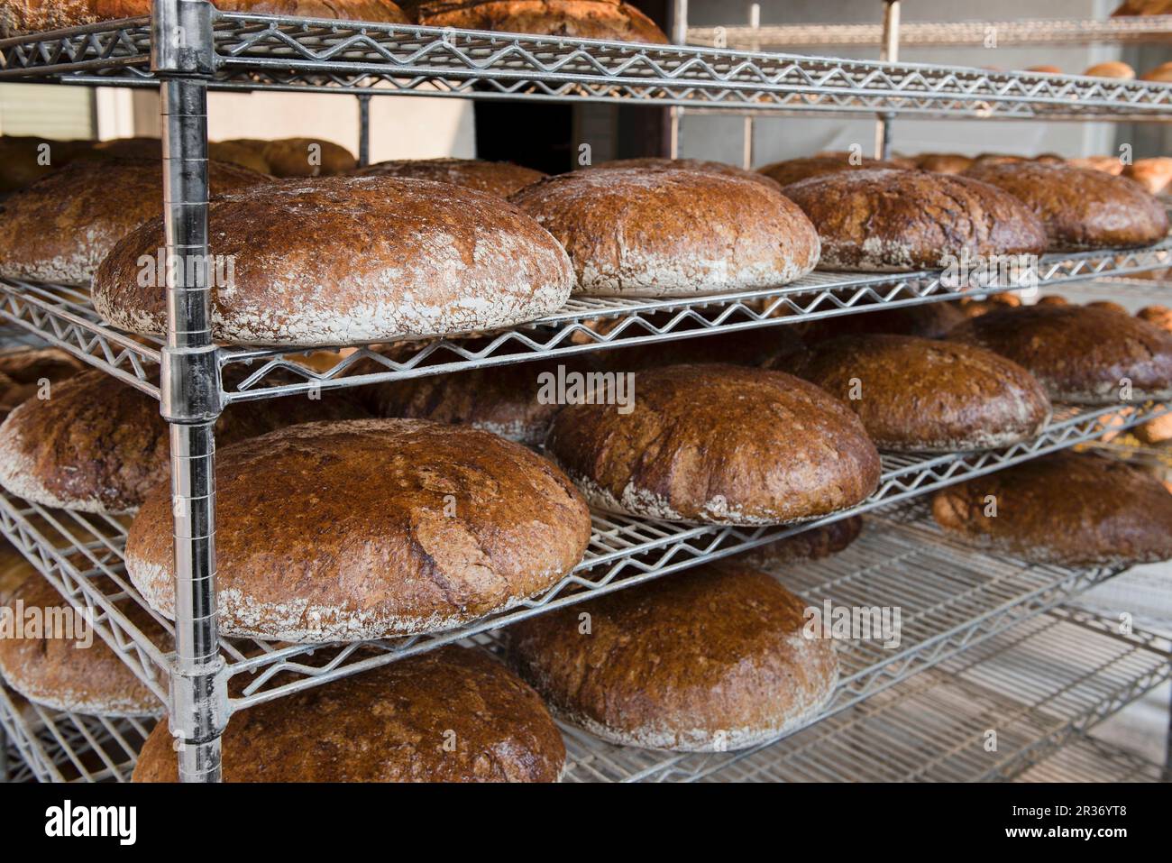 Loaves of Graham bread baked in a woodfired oven on metal shelves in a bakery Stock Photo Alamy