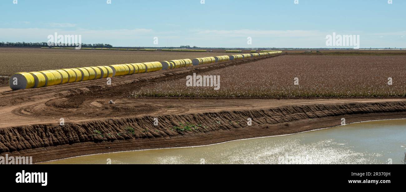 Cotton farm hires stock photography and images Alamy