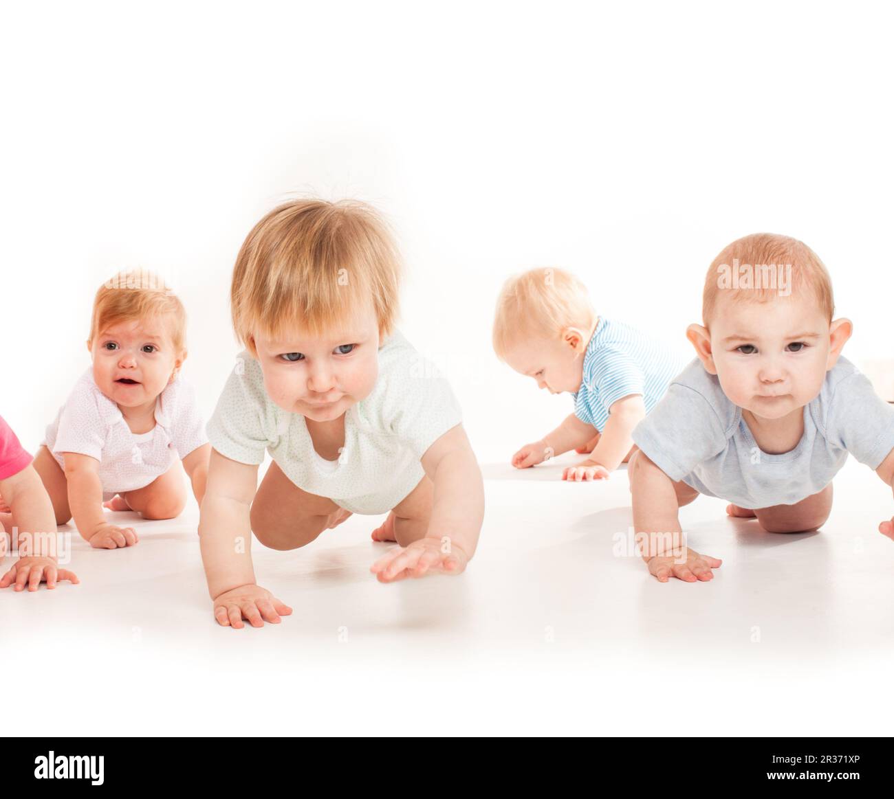 Infants crawling race Stock Photo