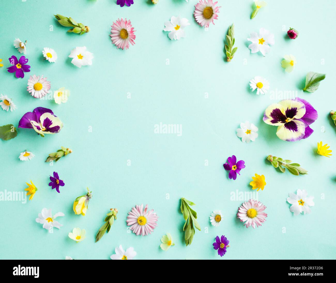 Circle frame with flowers hi-res stock photography and images - Alamy