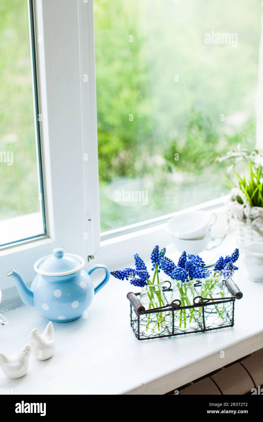 The kitchen windowsill Stock Photo Alamy