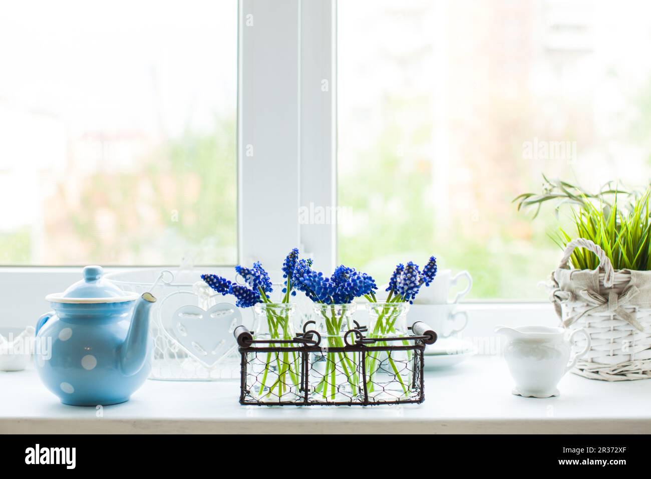 The kitchen windowsill Stock Photo Alamy