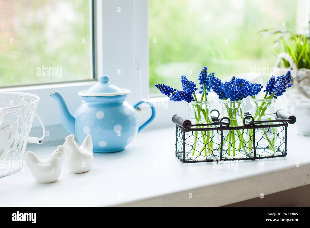 The kitchen windowsill Stock Photo Alamy