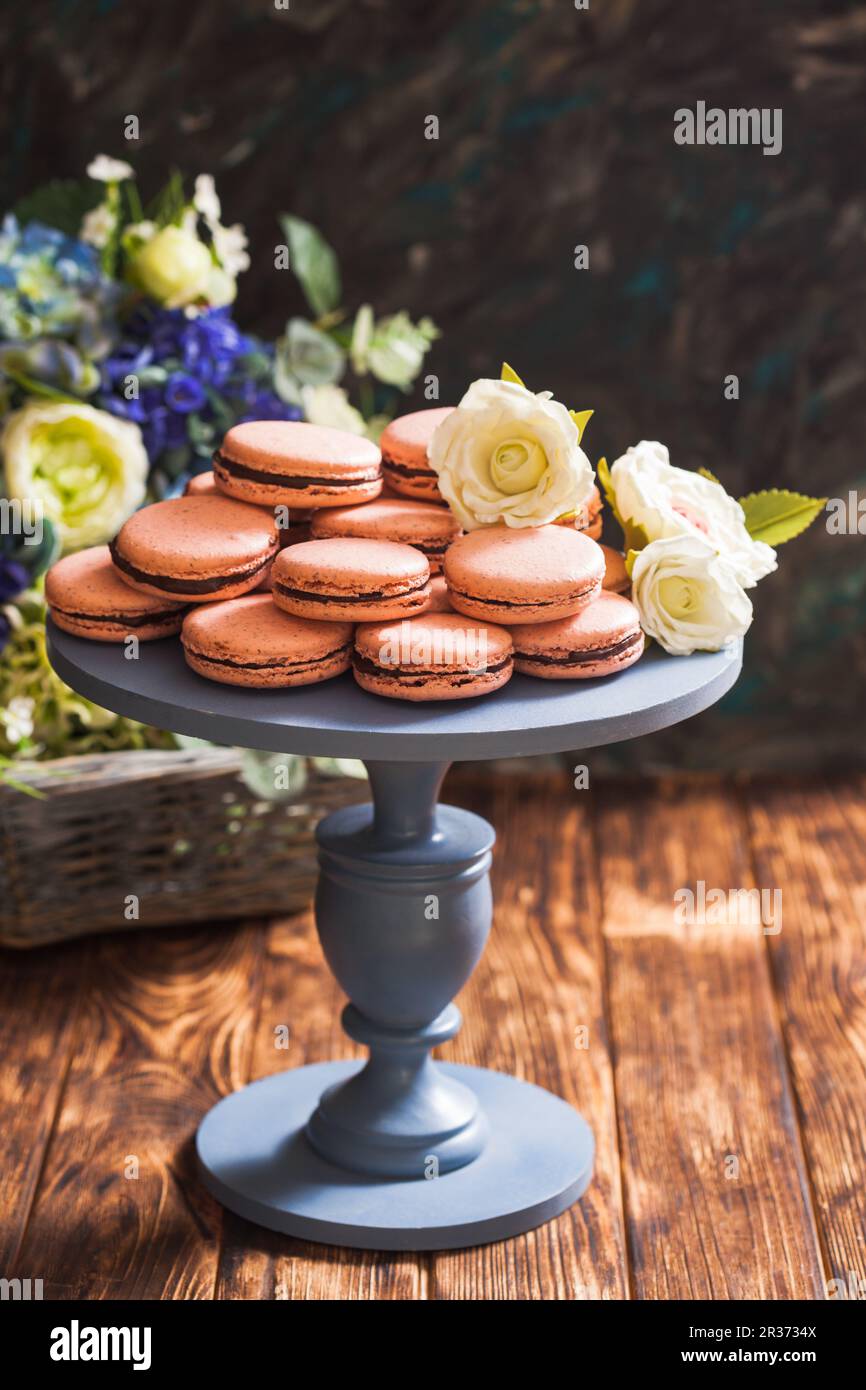 Group showcase hi-res stock photography and images - Alamy