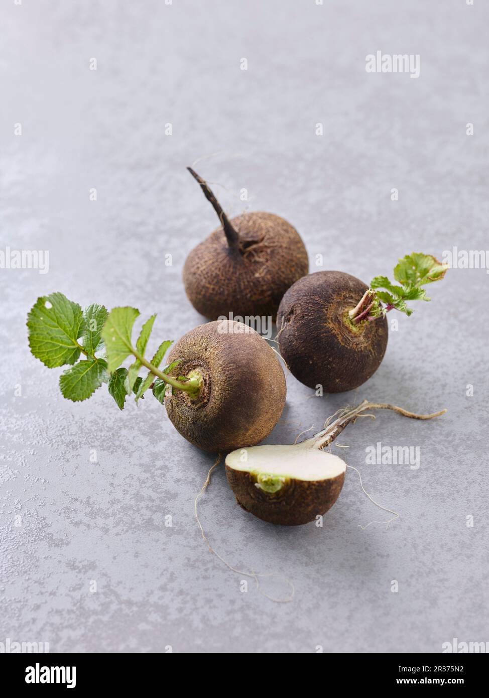 Black daikon radishes Stock Photo Alamy