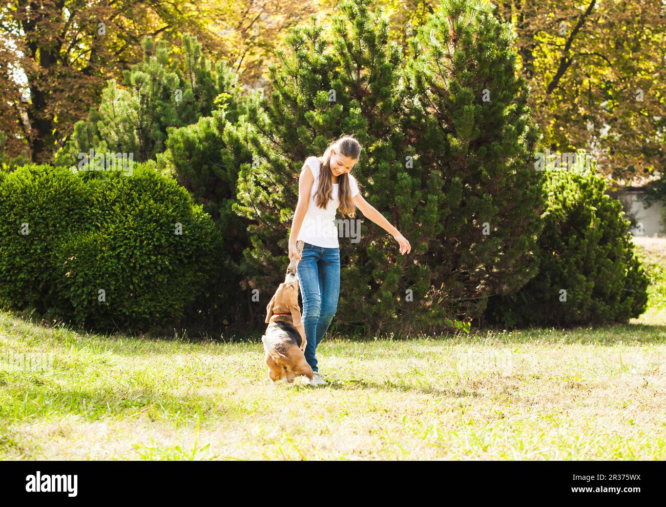Girl plays with a dog in the yard Stock Photo - Alamy