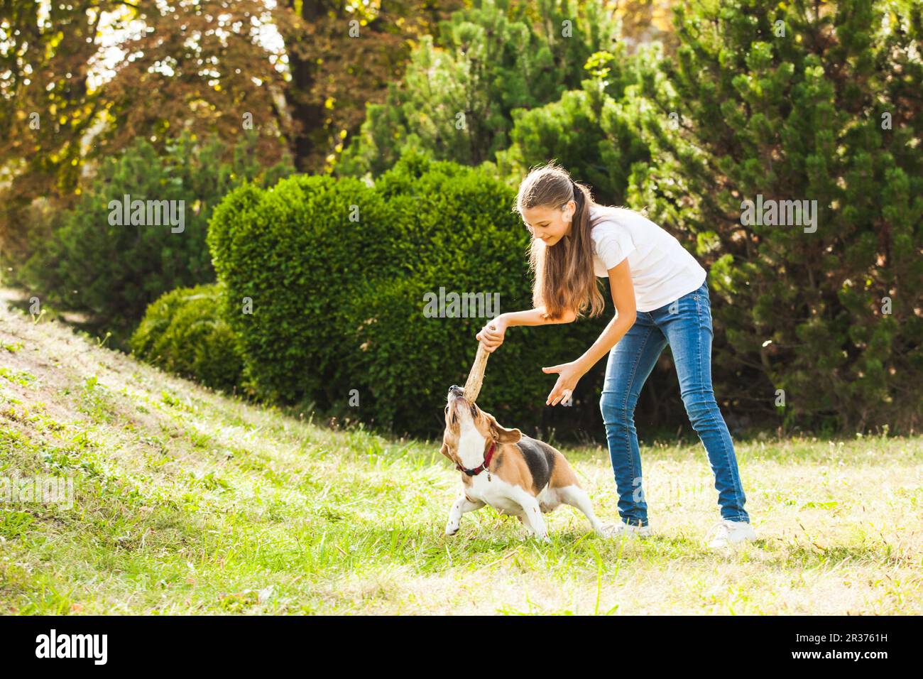 Girl plays with a dog in the yard Stock Photo - Alamy