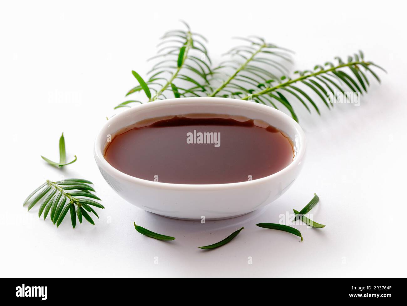 Spruce tip syrup in a small bowl Stock Photo