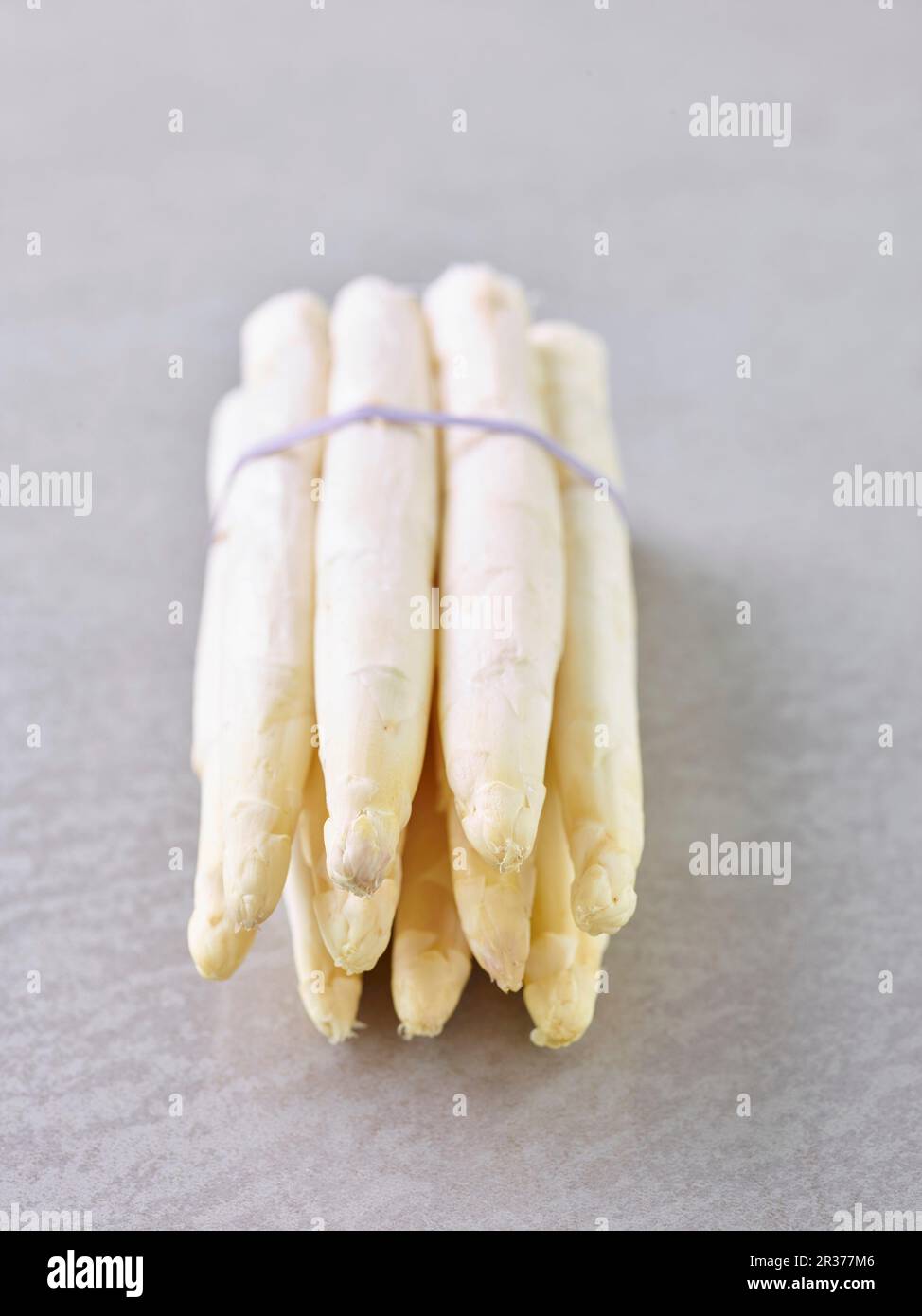 A bunch of white asparagus Stock Photo