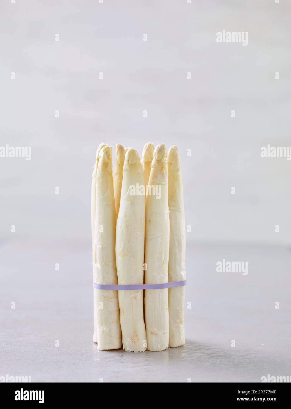 A bunch of white asparagus Stock Photo