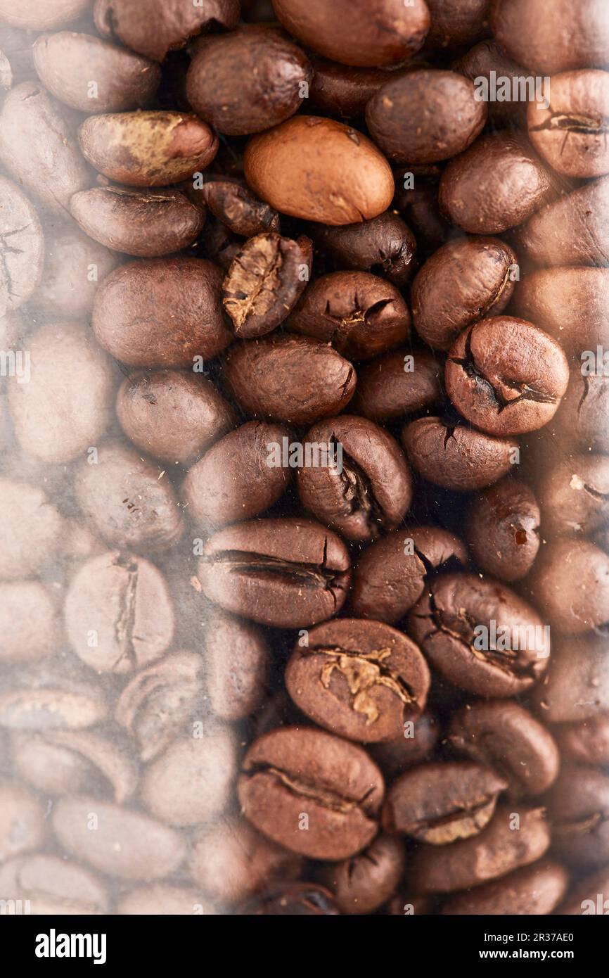 Unground coffee beans in a transparent container Stock Photo Alamy