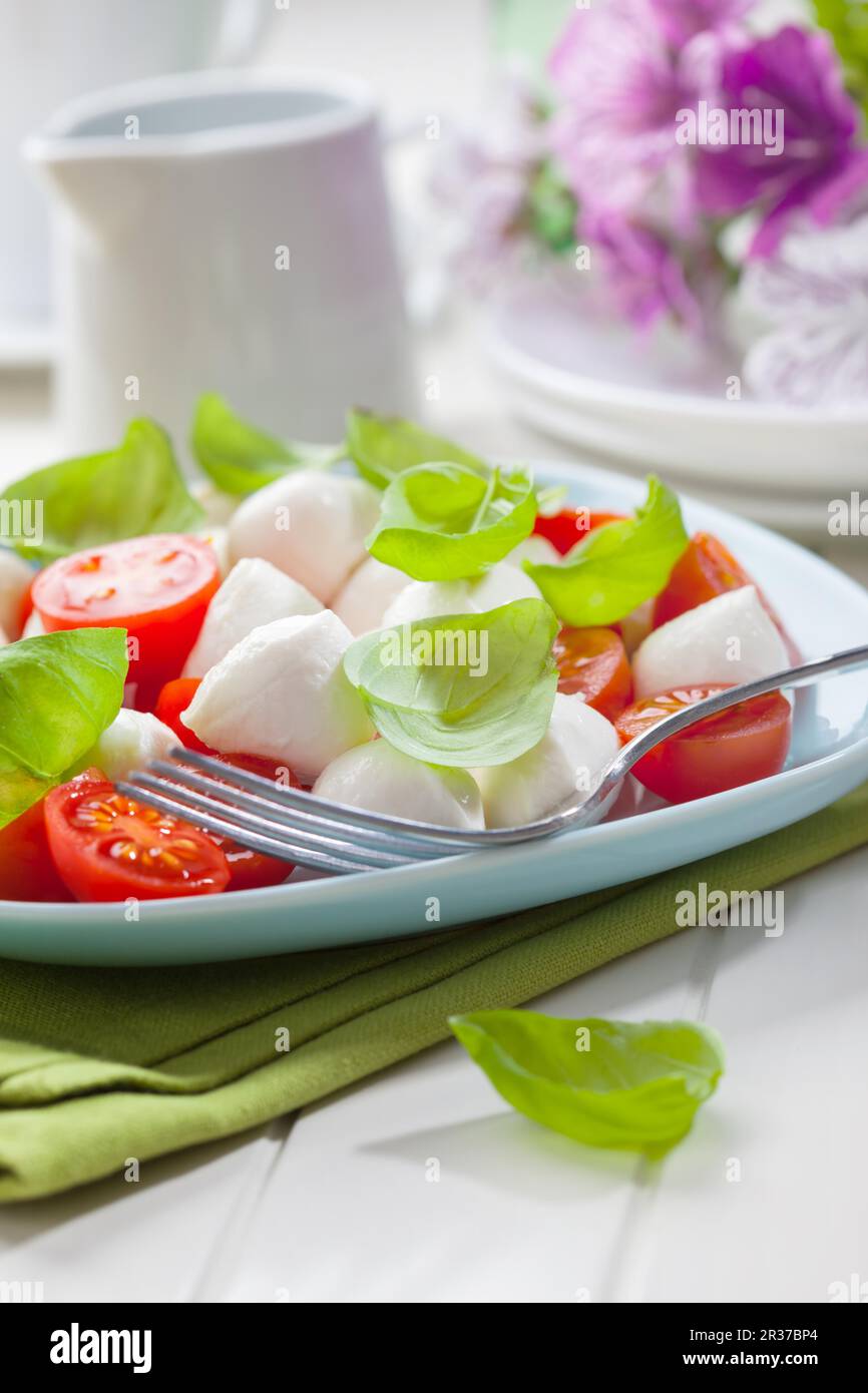 Tomato and mozzarella salad with fersh basil Stock Photo