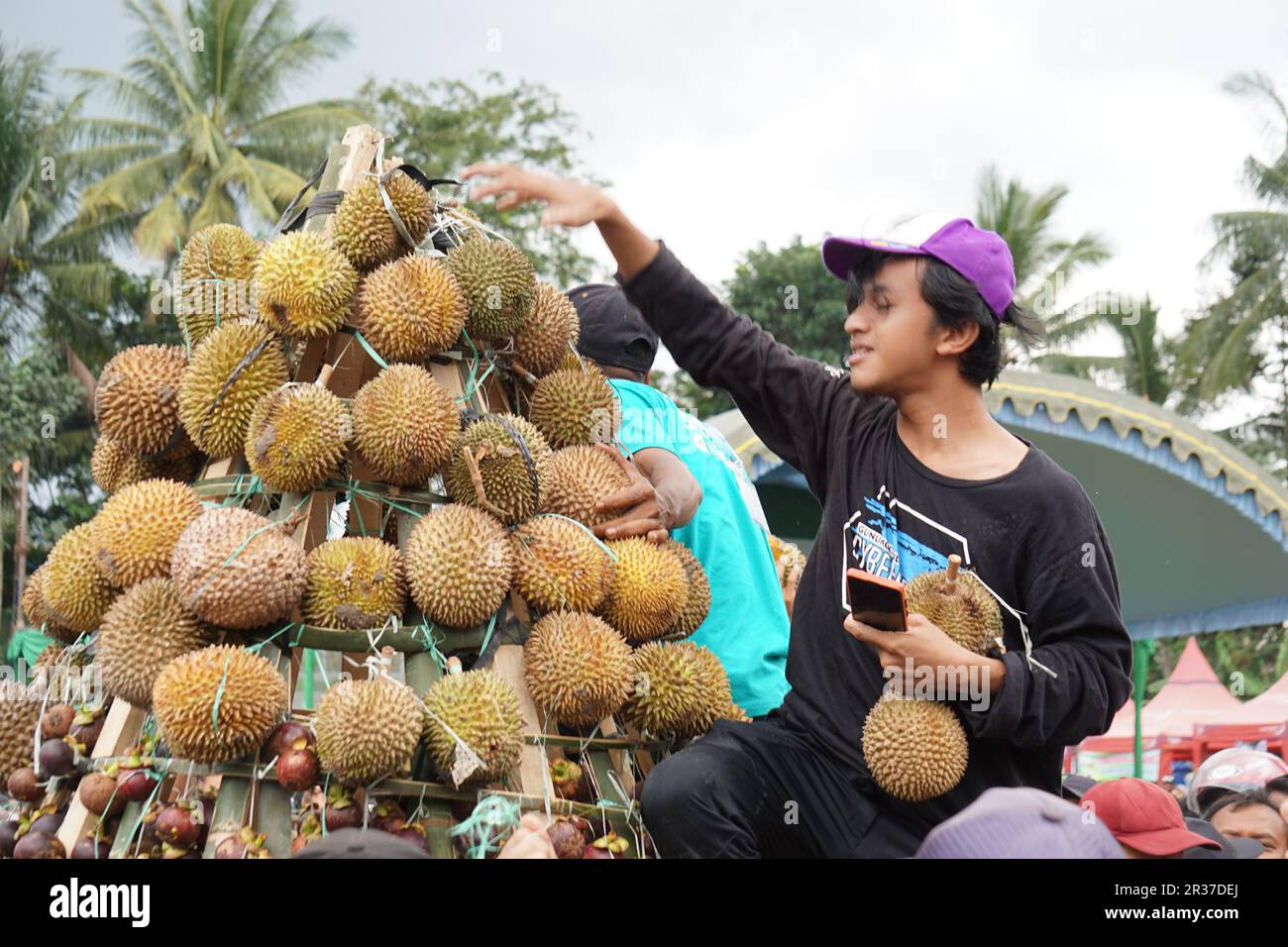 Indonesian are carrying tumpeng durian on sumberasri durian festival Stock Photo