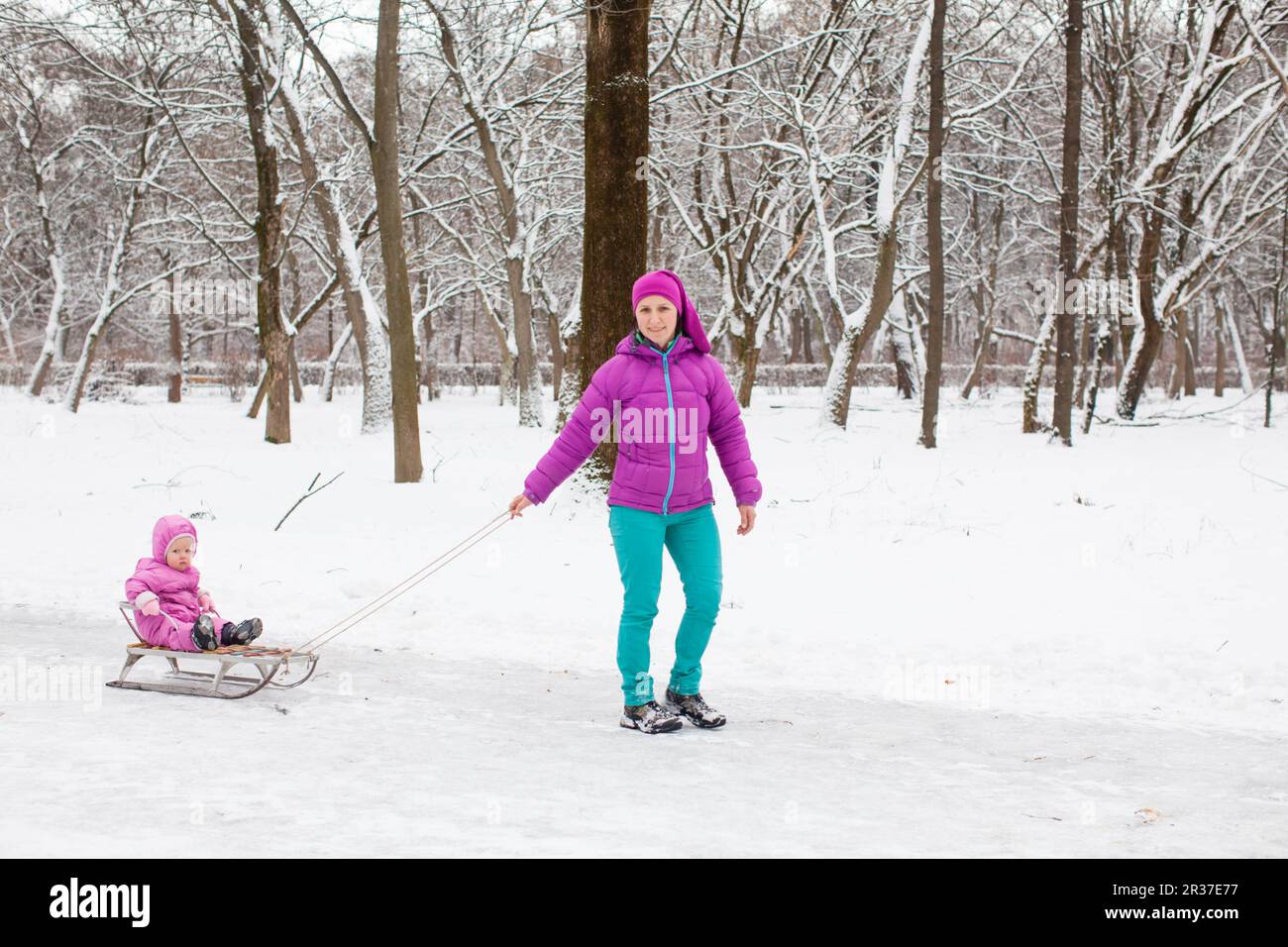 Sled Riding Images Ride on a sled in the winter woods Stock Photo - Alamy