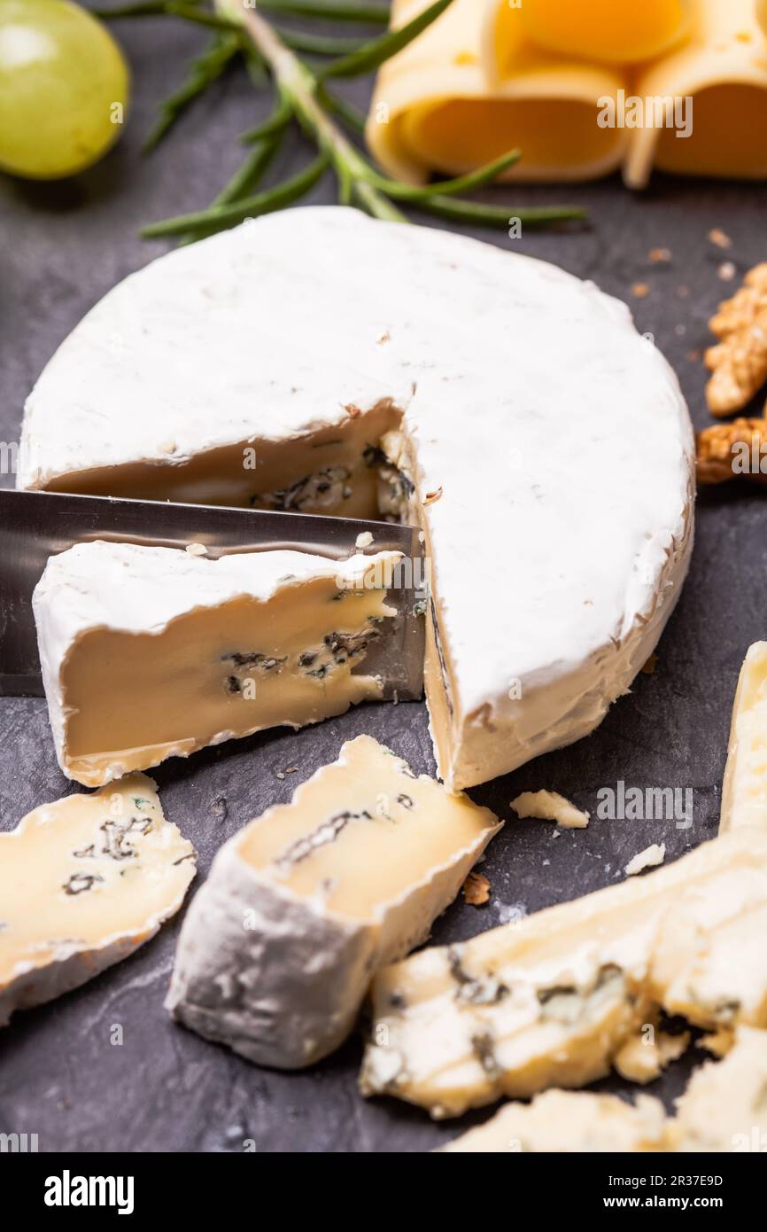 Cheese delicious plate Stock Photo
