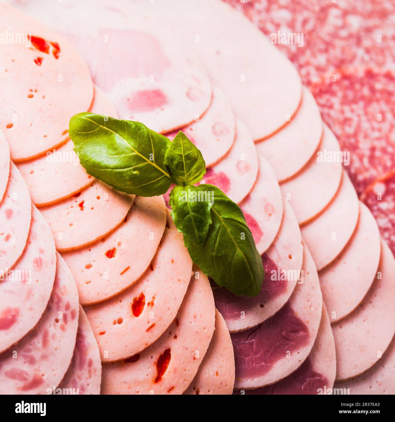 Variety of processed cold meat products Stock Photo Alamy