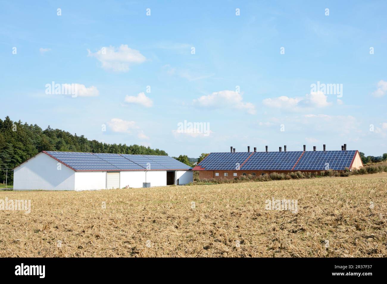 Barn of a farm with solar panels on the roof Stock Photo - Alamy