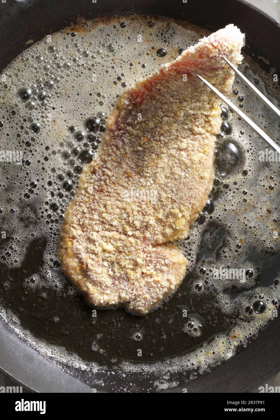 Frying Wiener Schnitzel in a pan Stock Photo Alamy