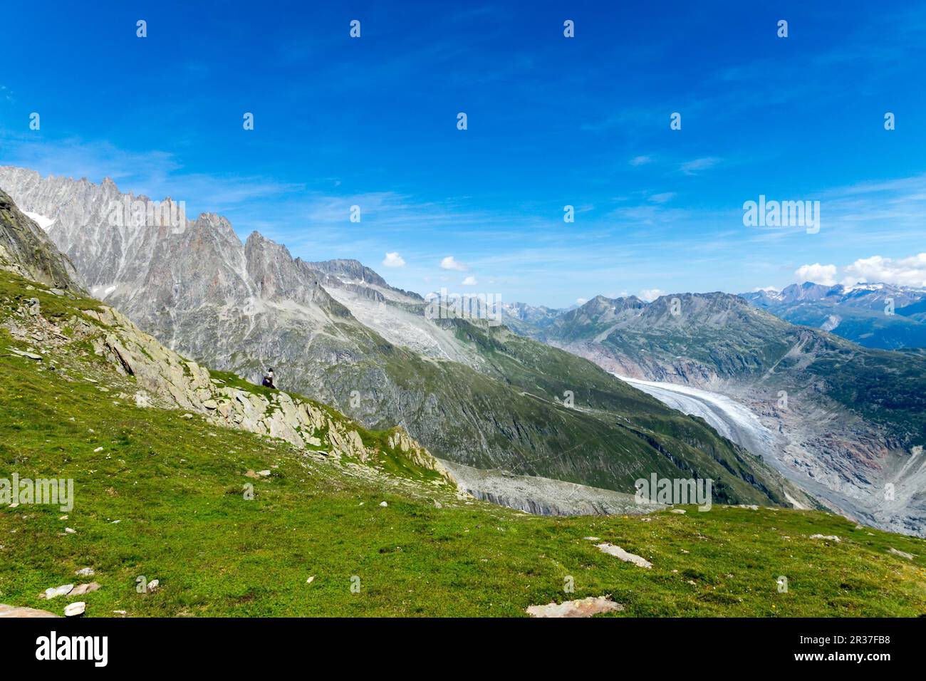 Green landscape in the Swiss Alps Stock Photo - Alamy