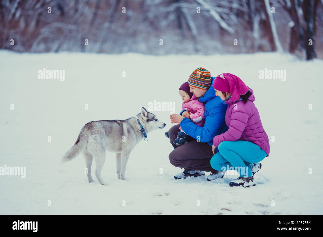 Family with dog outdoors Stock Photo