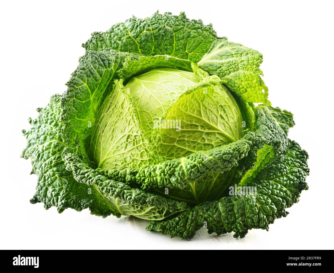 Fresh Raw Cabbage Isolated On White Background Stock Photo Alamy fresh-raw-cabbage-isolated-on-white-background-stock-photo-alamy