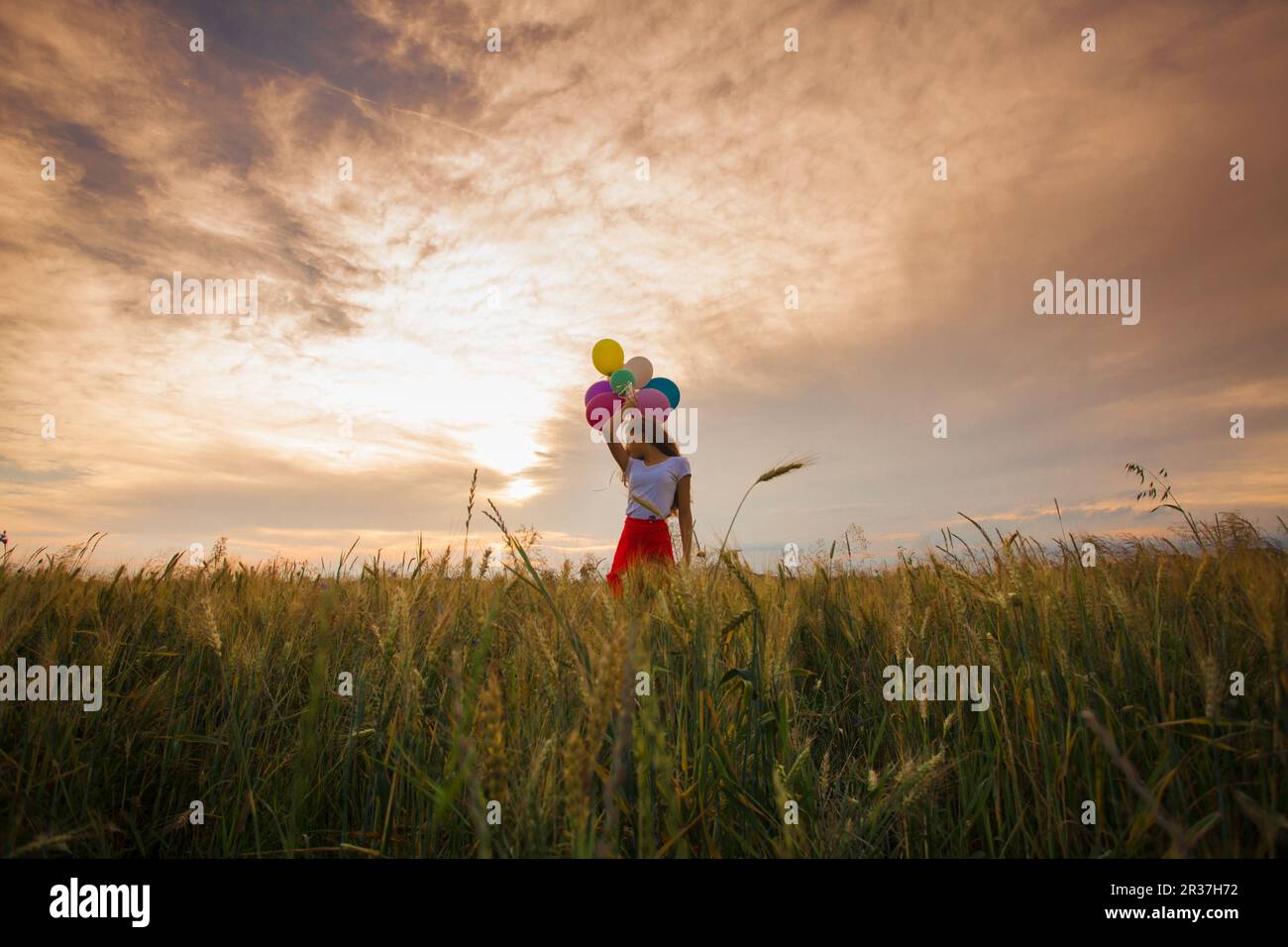 Girl with balloons in wheat field Stock Photo - Alamy