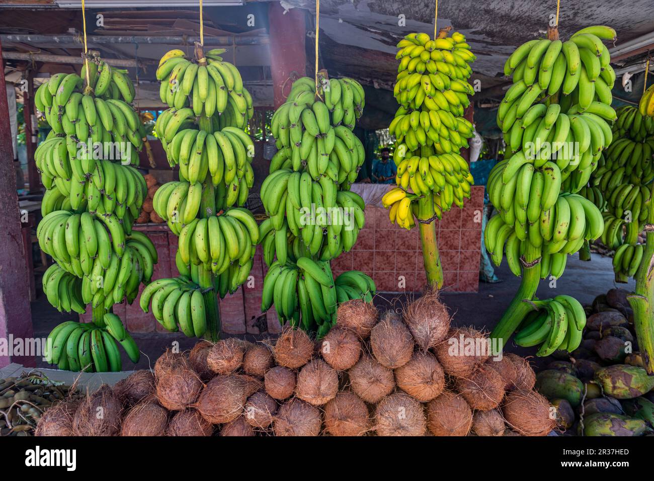 Fresh fruits in the Oasis of Salalah, Oman Stock Photo