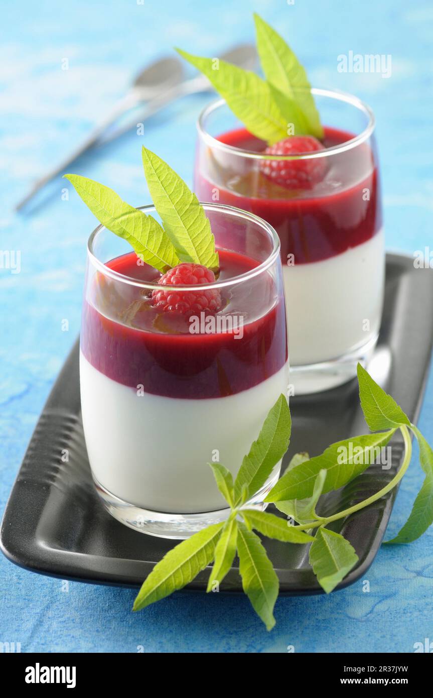 Coconut milk panna cotta with raspberry coulis and lemon verbena Stock